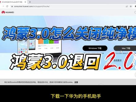 特别提醒:降级会重置系统,数据会丢失,大家注意数据备份!!!还有看置顶的方法,可以不降版本!!鸿蒙3.0怎么关闭纯净模式? #华为手机怎么关闭纯净模式 #鸿蒙3.0关闭纯净模式 #华为临时关闭纯净模式 #鸿蒙3.0回退到2.0#鸿蒙3.0降级