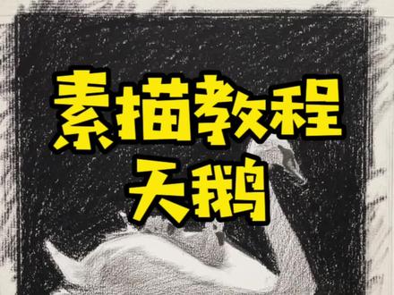 很简单的素描白天鹅与天鹅崽,造型画准一点,背景涂黑一点画出来非常好看,快试试吧#素描 #素描动物 #成人素描 #素描零基础教学 @DOU+小助手