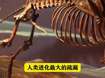 人类进化最大的疏漏,是少了一根骨头。
这根骨头,黑猩猩有,大猩猩有,老鼠都有。
唯独人没有,它叫丁丁骨。#知识科普 #实用冷知识 #人文科普 #科普冷知识