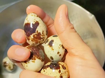 #美食推荐 大人小孩都爱吃的鹌鹑蛋怎么做好吃?超入味的五香鹌鹑蛋,一锅不够吃。咸香入味,做法简单。冬天不怕放,添菜下酒无敌了。#鹌鹑蛋 #自己在家做美食 #五香鹌鹑蛋 #卤蛋