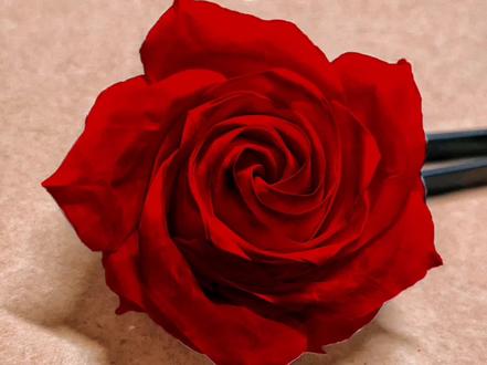 超浪漫!手残党也能学会的折纸玫瑰花教程!(上)#手工 #折纸 #礼物 #仙女必备 #亲子手工