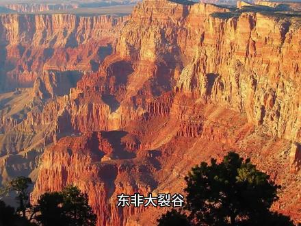 东非大裂谷与人类的进化