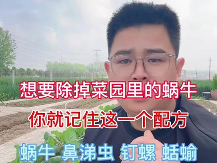 菜园蜗牛防治方案 想要除掉菜园里的蜗牛,您就记住一个配方,往菜园里均匀撒一撒就可以了#蜗牛 #蜗牛药 #四聚乙醛 #四聚乙醛蜗牛药 #蜗牛防治