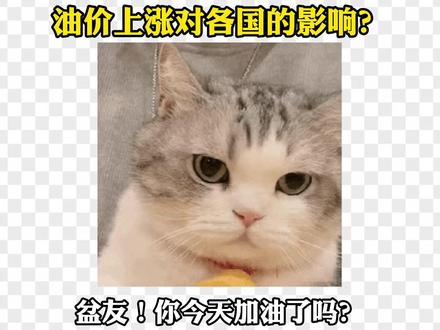 9元时代来临,油价上涨对各国的影响? #零基础看懂全球 #全球创作者计划 #国际 #时代的荣耀