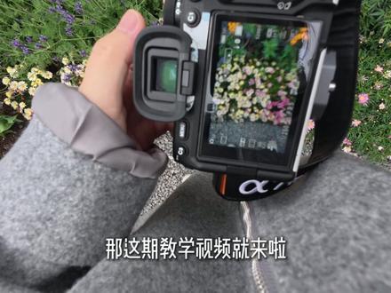 当我旋转相机100次,我拍到了鲜花流星 #慢门拍摄 #花 #摄影教程 #小白 #按下快门的瞬间