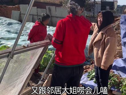 #我的乡村生活 #记录三农 @抖音创作小助手