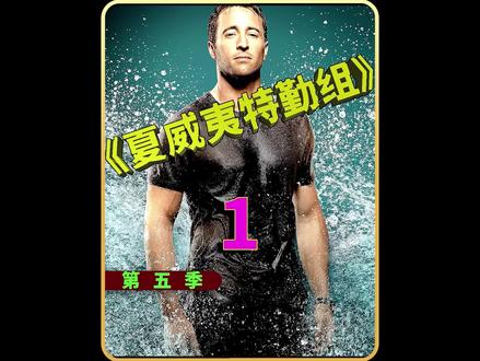 夏威夷特遣队第五季完整版(上) #影视解说 #我的观影报告