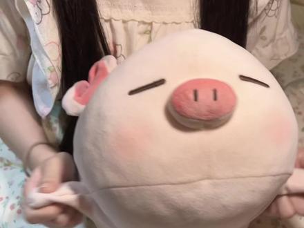 猪儿这个变装#萌物 #玩偶 #miniso #小肥猪