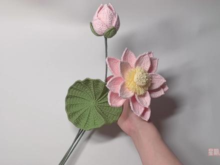 荷花钩织视频教程Ⅰ花瓣、花苞、荷叶、组装 #手工 #钩针编织 #毛线钩织 #花 #我的手工日常