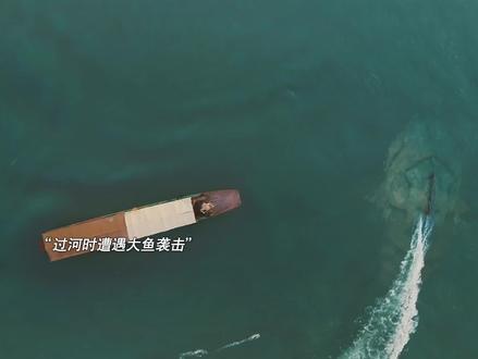 下面究竟埋了什么,可以让盗墓贼不惜如此大费周章呢?#明珠奇谭#明珠奇谭开播#明珠奇谭古墓探险一步一惊心