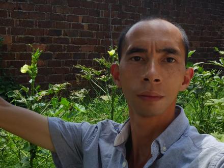 常见的柿子植物,三大好处很适用,重要的二点要注意