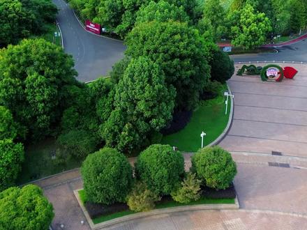 衡阳市区正式新增一座景区 #衡阳雁城研究所