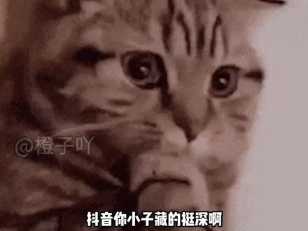 抖音你小子藏的挺深啊,旗下的悟空浏览器居然那么牛,简直就是#追剧神器 #涨知识