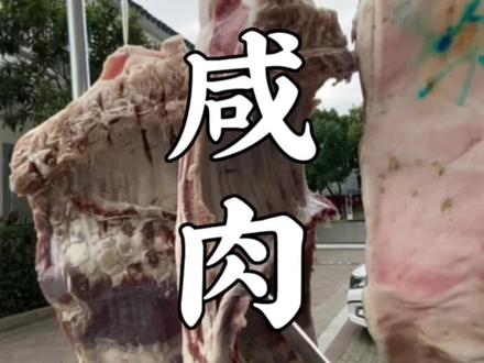 最完整的腌咸肉版本,视频较长,耐心看完你就学会了#又到腌制腊货的时候了 #同城美食 #吃腊味才有年味