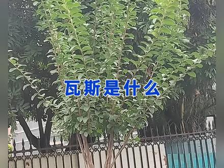瓦斯是什么? #上热门 #瓦斯爆炸#瓦斯原理是什么?