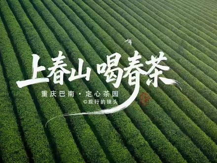 春天是有脚步声的,云雾漫过山脊时,茶园第一次深呼吸。我们总在屏幕里翻阅春天,却忘了……春天需要你起身、奔赴、亲抵。#定心茶园#上春山采春茶