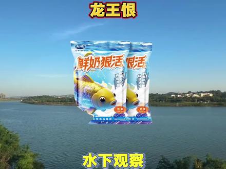 没什么现在的邪修这么让人讨厌!龙王恨鲜奶狠活水下观察!#土鲮饵料