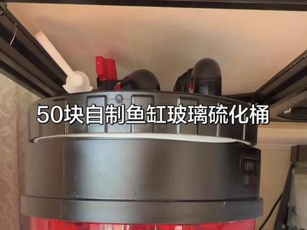 50块自制鱼缸低滤玻璃硫化桶