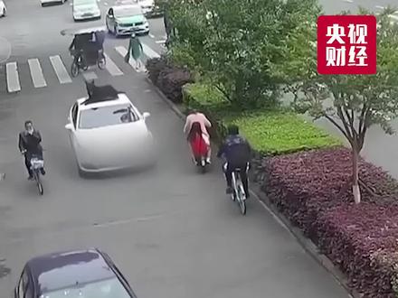 怒!男子开车将狗放车顶?当事人:那狗训练过