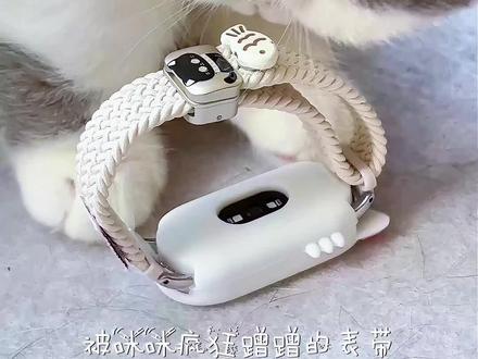 小米手环果然 连猫猫都偏爱你!#小米手环10 #小米手环10表带 #小米手环表带 #小米手环9