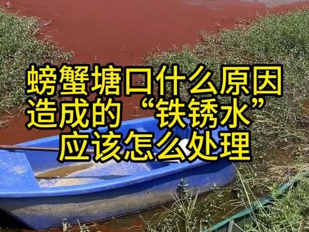 螃蟹塘口“铁锈水”是什么原因造成的,应该怎么处理比较合适!!!!#水产养殖技术 #新农人计划2023 #河蟹养殖 #大闸蟹养殖 #三农