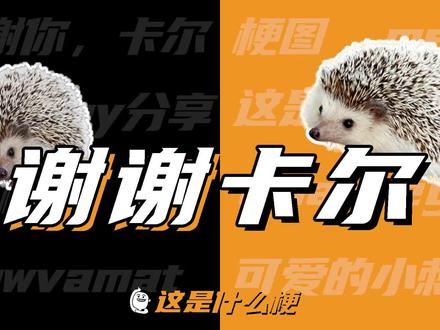 这是什么梗:每天一个“治郁”小技巧~谢谢卡尔!