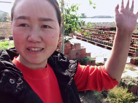 红砖里种的多肉,也可以这么美!今天终于浇水了