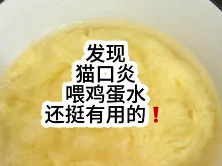 发现猫口炎喂鸡蛋水还挺有用的!
#猫杯状#猫口炎怎么治#猫咪牙龈红肿#猫咪吃什么增免#老年猫