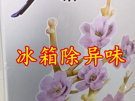 冰箱有异味教你用这招,轻松解决#冰箱异味 #生活小妙招 #抖音小助手