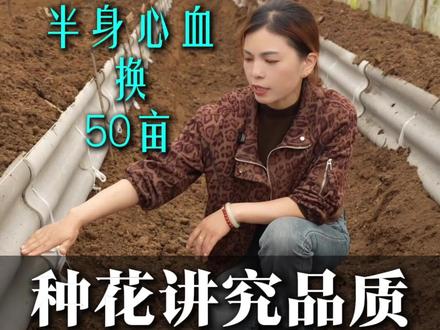 半生心血全部投入这片土地,希望渺茫… #繁卉农业 #玫瑰种植 #大棚搭建 #玫瑰花种植 #挖沟