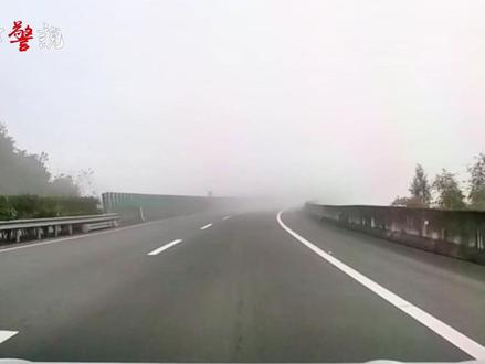 驾车遇到团雾 这样应对才安全 #交通安全知识点