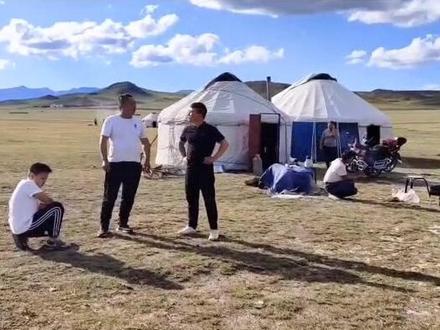 #绑马腿#奇怪的知识增加了 #抖音动物图鉴 #原创视频 #马 #抖音看世界 @抖音小助手 @DOU+小助手