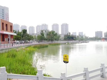 从这里开始从新认识大泗县,泗县中央公园详细解说篇#城市风景 #文化旅游 #旅游攻略 #生态宜居 #湖景别墅