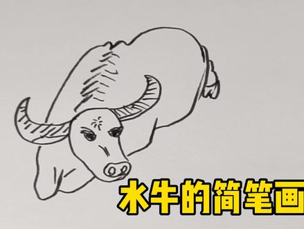 水牛的简笔画,简单易学,赶紧教小孩画吧