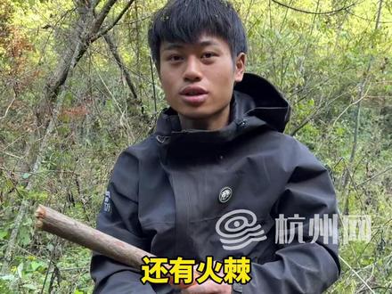 #七星山荒野求生 决赛第二天,#荒野林北 吃饱了好干活,忙着搭大庇护所,没时间取火