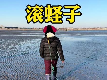 偶遇冬季里最大的百米大退潮,体验一把徒手钓蛏子,滚蛏子,挖蛏子的快乐#赶海#海边生活 #户外美食 #蛏子