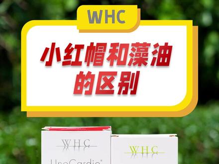 WHC鱼油和藻油的差别在哪里,什么样的人适合吃藻油呢?#WHC鱼油 #藻油dha#差别