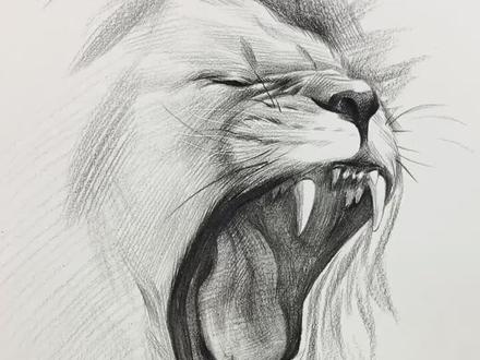 画了一只怒吼的狮子@抖音小助手