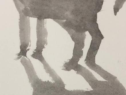 为什么人类都是,2-4代唐表兄妹关系?基因重复是物种创造的密码!这是个伟大的发现。