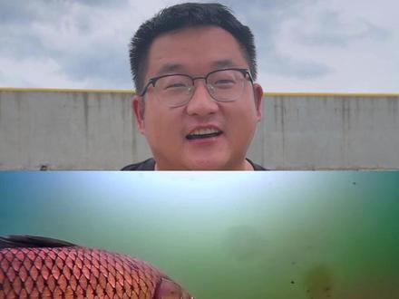 用了以上几种办法让你窝里一直有鱼可钓!