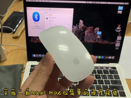 苹果鼠标2简单评测,简单使用连接!
