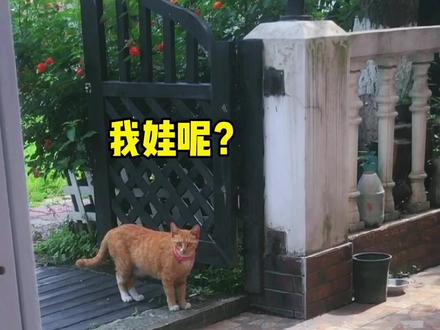 这可能就是忘崽牛奶的副作用吧 #忘崽牛奶 #偷猫 #bgm #喵喵教