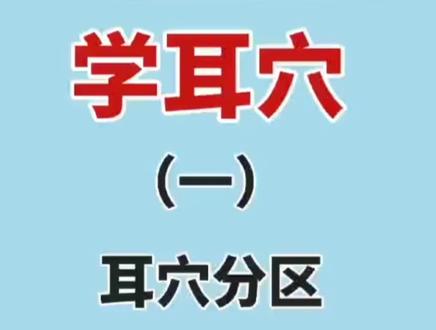 耳穴分区第二集✌✌✌