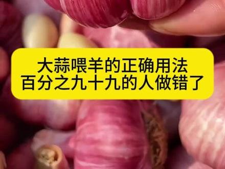 #养羊 #养羊技术 #养羊技术分享