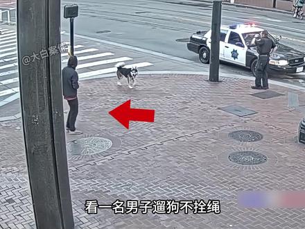 男子遛狗不拴绳,被判十年。 #美国警察执法 #遛狗不拴绳