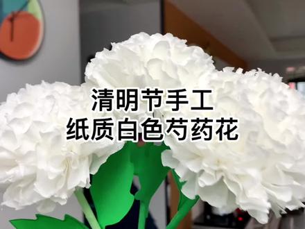 超简单的清明节手工,有手就行的逼真纸质白色芍药花。「白色芍药寄温柔,祭奠先人怀旧忆」#手工diy #清明节 #清明节手工 #折纸教程 #芍药花折纸@DOU+小助手