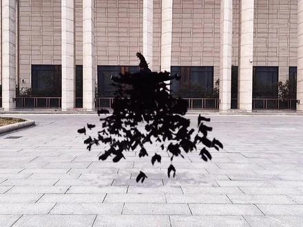 变身鼬神乌鸦教程#剪辑教程 #轻而易剪 @剪映 @DOU+小助手