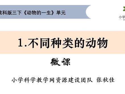 三下《动物的一生》单元2.1不同种类的动物 #重难点讲解#三下科学#动物的一生 #不同种类的动物 @DOU+上热门