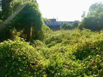 被称为“中国英伟达”的摩尔线程,11月24日就要开启科创板申购啦!股票代码688795,上市后妥妥的“国产GPU第一股”,但这发行价可不便宜——一百一十四点二八元/股,创下今年新股最高价纪录,中一签就得缴款五万七千一百四十元!这么高的门槛,你敢打新吗?
先说说摩尔线程在行业里的分量,那可是国产GPU赛道的“破局者”。它是国内唯一能量产消费级GPU并打进PC供应链的企业,2025年三季度,旗下MTT S80 GPU出货量达到三十万片,同比暴涨两百个百分点,游戏兼容性覆盖国内八成主流网游。在核心的数据中心GPU市场,它以十一点二个百分点的份额位列国内第三,仅次于英伟达和AMD。更关键的是,它打破了国外巨头的垄断,让国内PC厂商的国产GPU采购占比从2024年的零点五个百分点飙升到2025年三季度的五个百分点,妥妥的国产替代主力军!
能有这样的成绩,离不开强大的“朋友圈”。云计算领域,阿里云、腾讯云早就批量采购它的MTT D100 GPU,用于AI推理和视频转码;互联网大厂里,字节跳动、美团都在测试它的产品,反馈成本比英伟达同类产品低三十个百分点。硬件方面,联想、华为已经把它的GPU纳入服务器产品线;行业应用上,和东华软件签了三年五十万片的采购协议。
这里要重点说说昆仑万维,它和摩尔线程可不是简单的合作关系,而是“资本+业务”双绑定的铁哥们。昆仑万维是摩尔线程的早期战略投资者,通过关联平台持有约一点九一个百分点的股份,从天使轮就一路跟进,是实打实的“金主爸爸” 。业务上更是深度绑定,双方共建了全国产化千卡智算集群,昆仑万维的“天工”大模型训练,用的就是摩尔线程的GPU算力。而且在技术生态上,摩尔线程的MUSA架构兼容英伟达的CUDA函数,昆仑万维的AI团队还参与了技术迁移适配,相当于一起搭建国产算力的“护城河”。
那摩尔线程上市,对昆仑万维来说可是重大利好。首先是股权增值,按照摩尔线程五百三十七亿元的总市值算,昆仑万维持有的股份价值会大幅提升。其次是算力保障,摩尔线程IPO募资八十亿元,七成要投入7纳米制程GPU研发,未来产能和性能都会再上台阶,能给昆仑万维的AI业务提供更稳定的底层支持 。
#昆仑万维 #摩尔线程 #摩尔线程最新消息 #国产GPU #新股申购