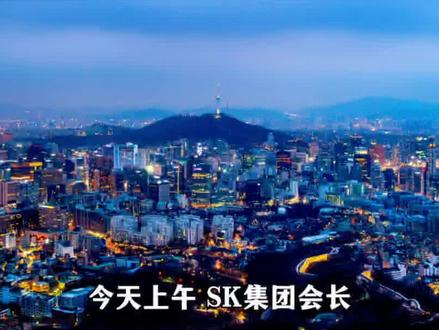 SK海力士暴跌,会长紧急发声 #SK海力士 #涨知识